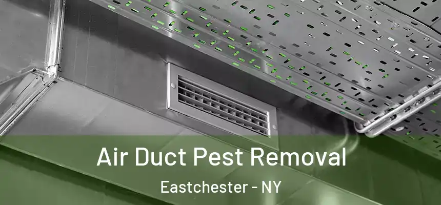  Air Duct Pest Removal Eastchester - NY