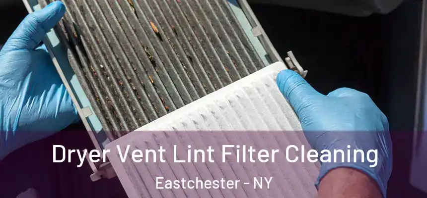  Dryer Vent Lint Filter Cleaning Eastchester - NY