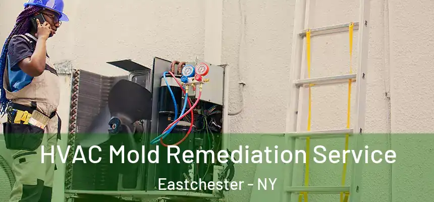  HVAC Mold Remediation Service Eastchester - NY