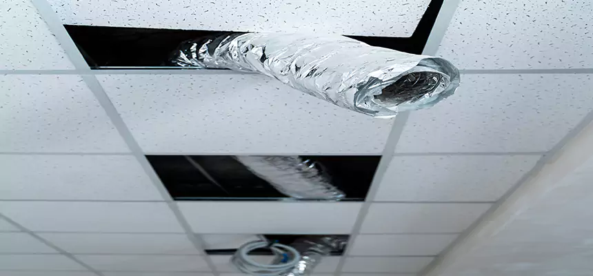 Our Air Duct Pet Hair Removal Services in Eastchester, NY