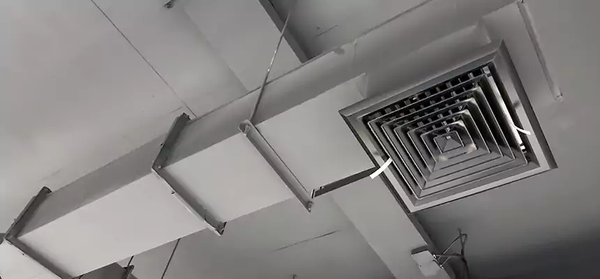 Our Rodent Droppings In Vents Services in Eastchester, NY