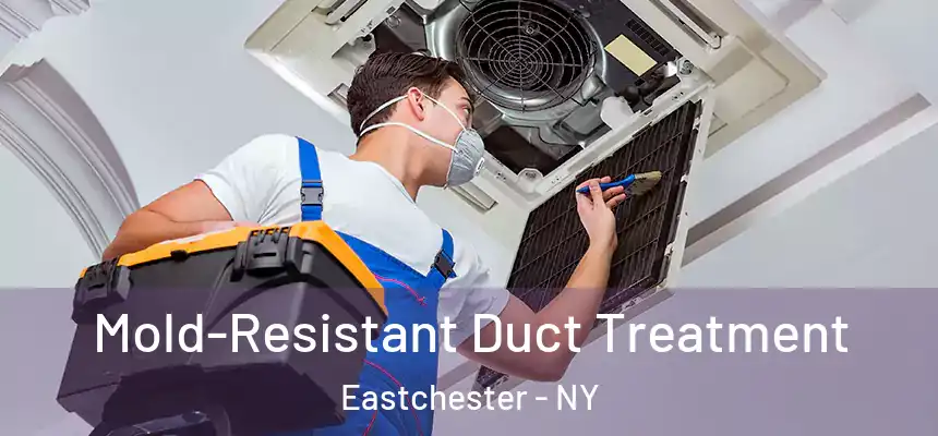  Mold-Resistant Duct Treatment Eastchester - NY