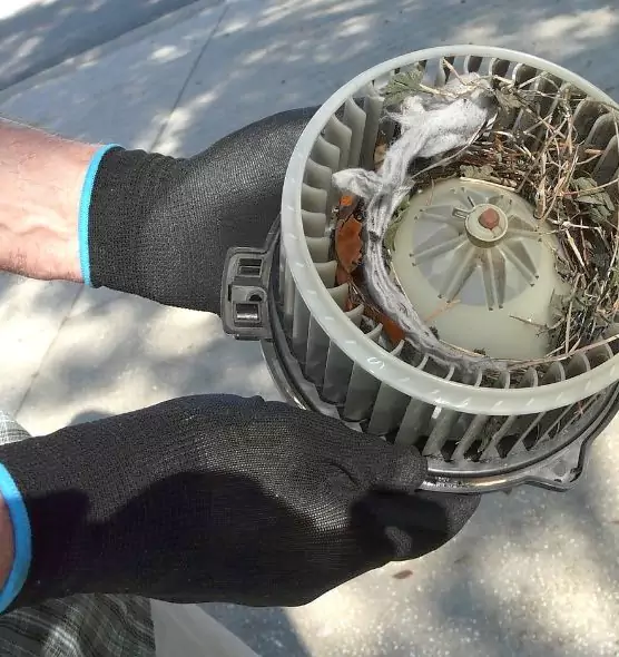 About Air Duct Mice Removal in Eastchester, NY