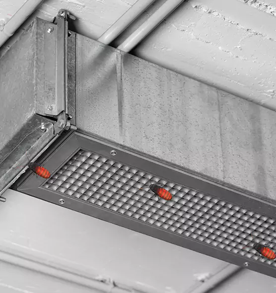 Affordable Insect Removal from Air Ducts in Eastchester, NY
