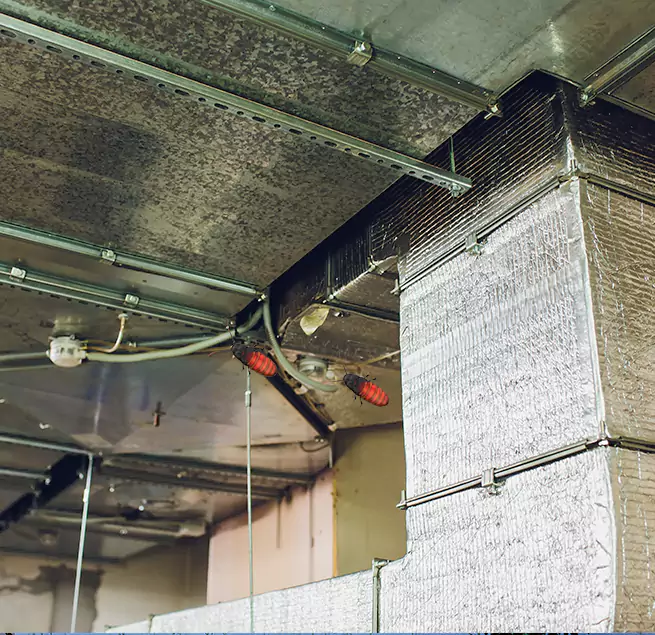 Why Homeowners & Businesses Trust Us in Eastchester, NY?