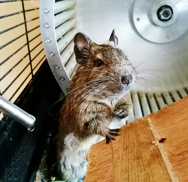 Why Homeowners & Businesses Trust Us Eastchester, NY?